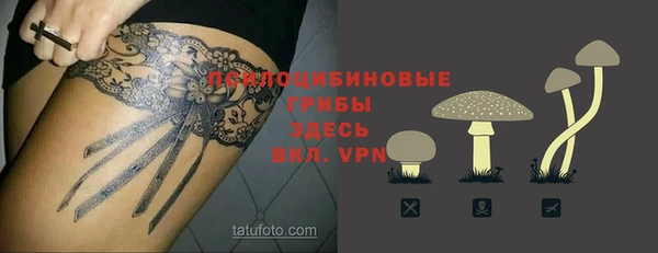 apvp Армянск