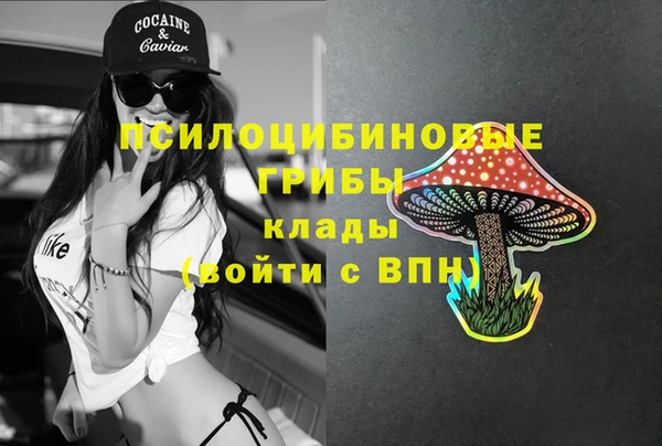 apvp Армянск