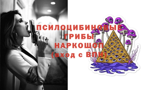 apvp Армянск