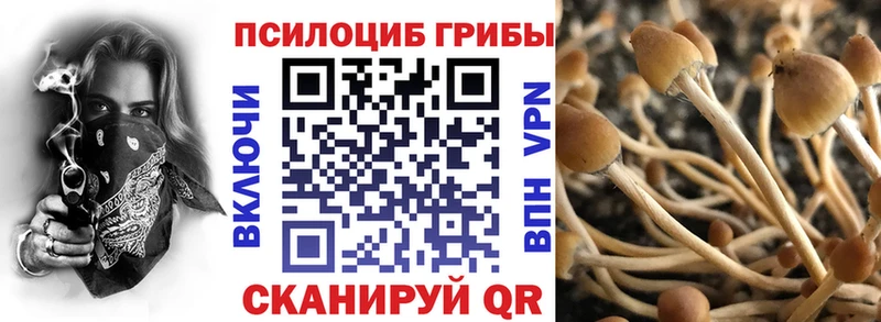 Галлюциногенные грибы GOLDEN TEACHER  Туринск 
